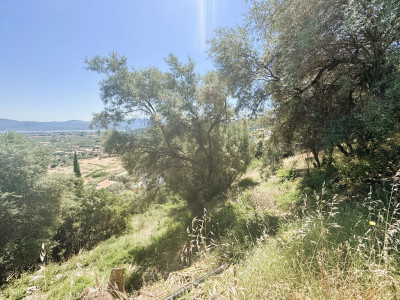 Apolpaina 003.jpg